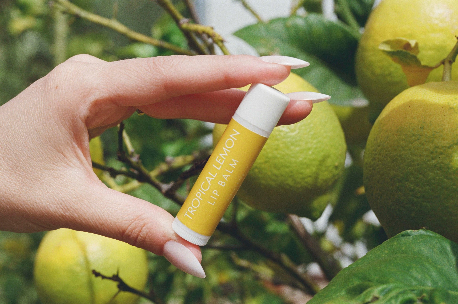 Tropical Lemon Lip Balm