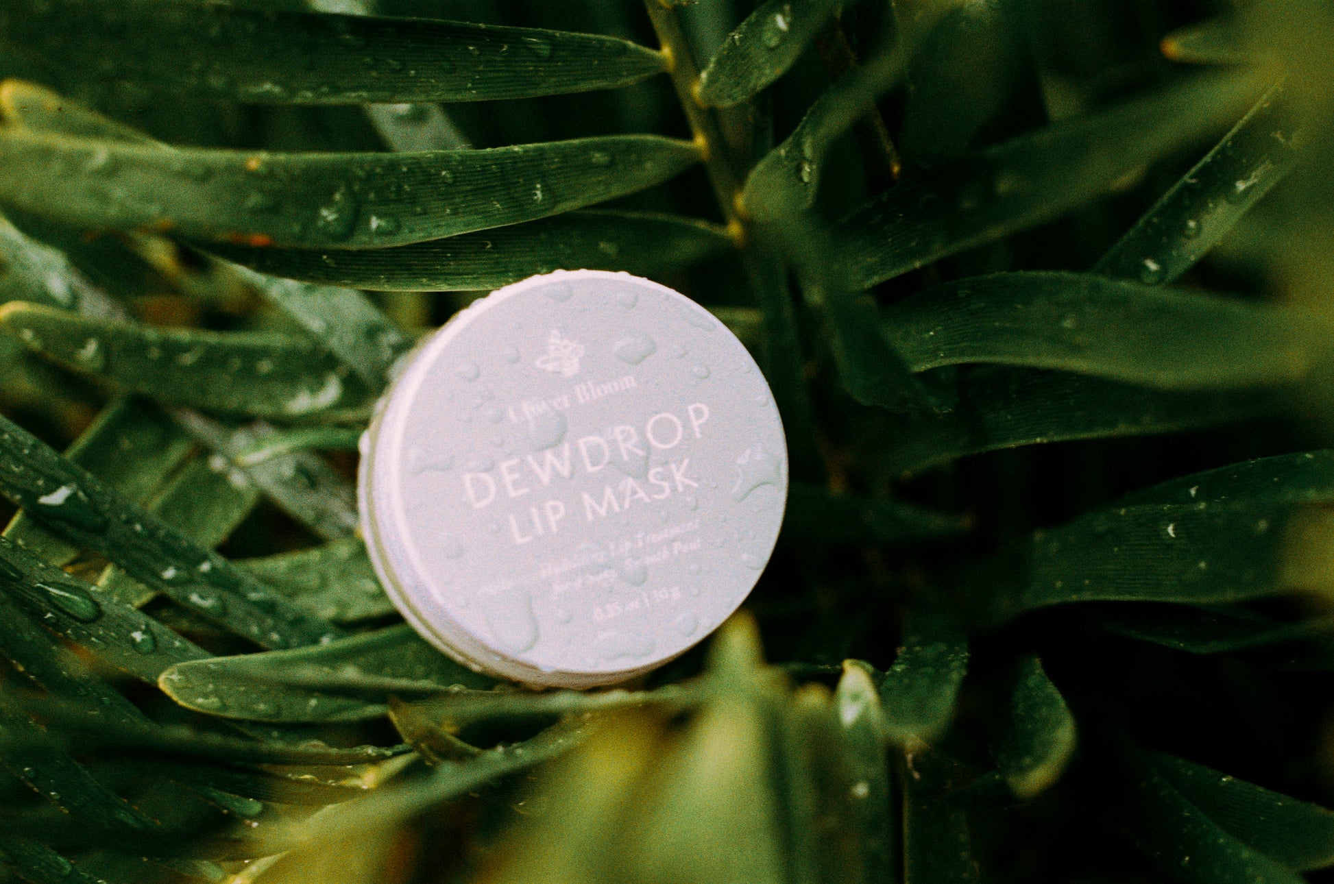 Dew Drop Lip Mask