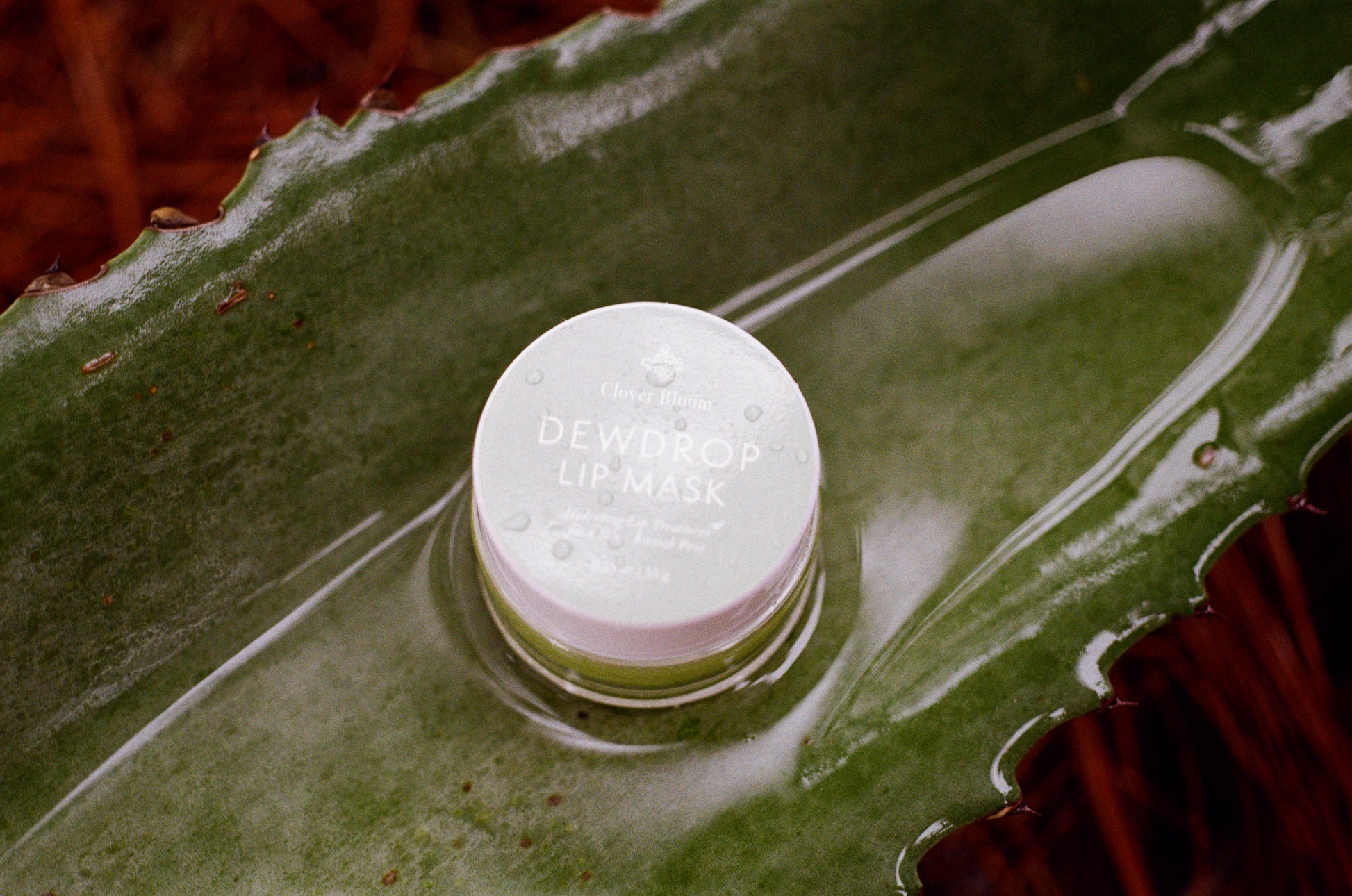 Dew Drop Lip Mask