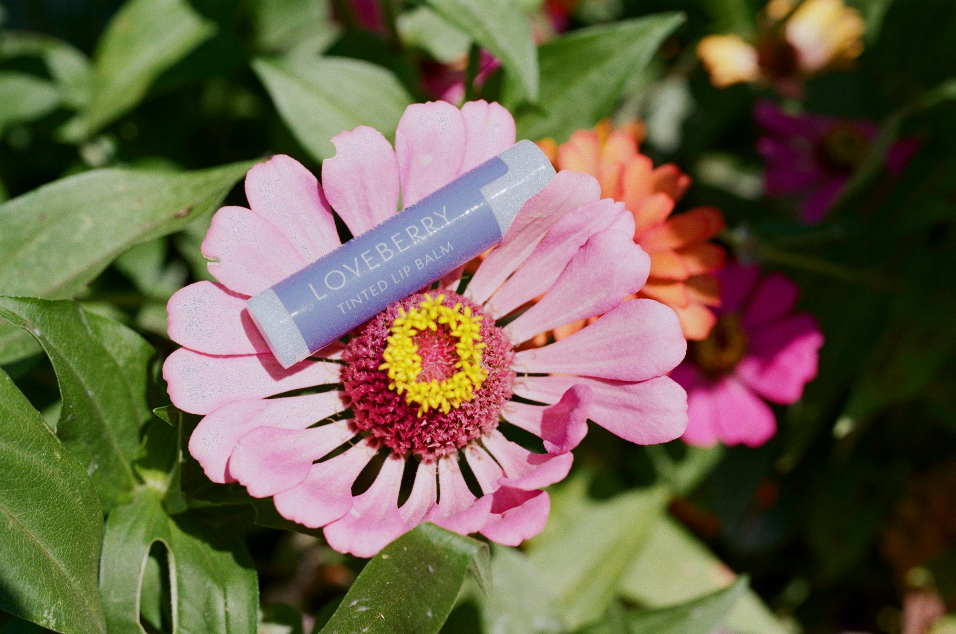 Loveberry Tinted Lip Balm