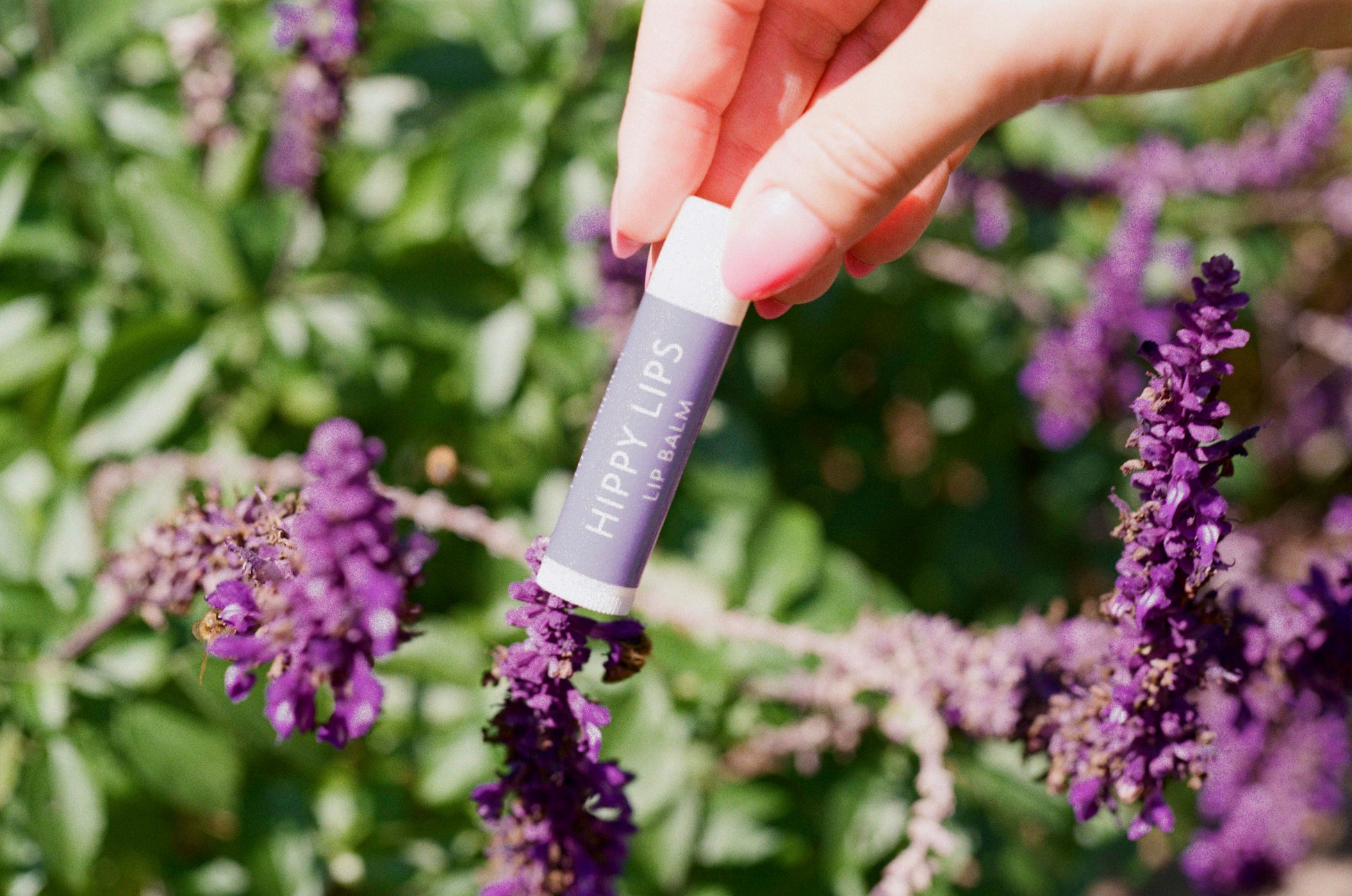 Hippy Lips Lip Balm