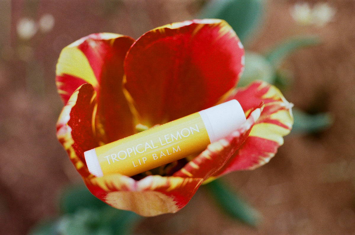 Tropical Lemon Lip Balm