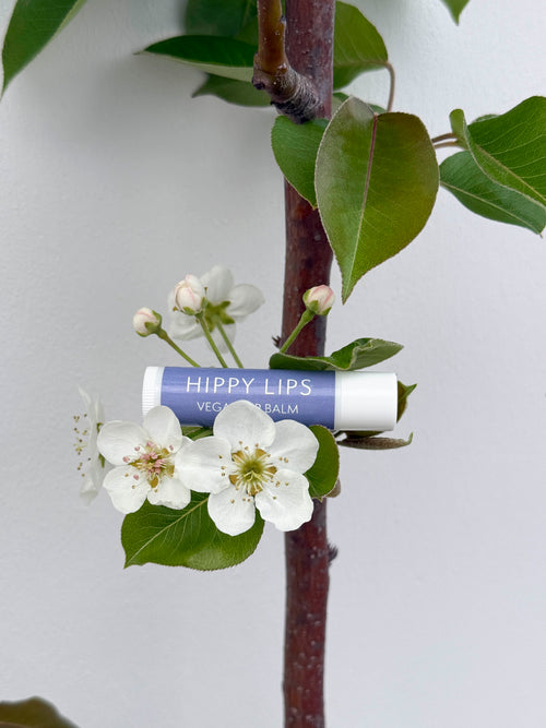 Hippy Lips Lip Balm