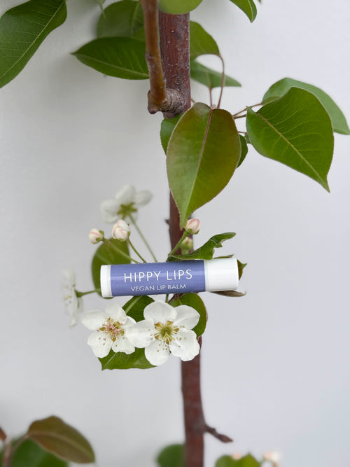 Hippy Lips Lip Balm