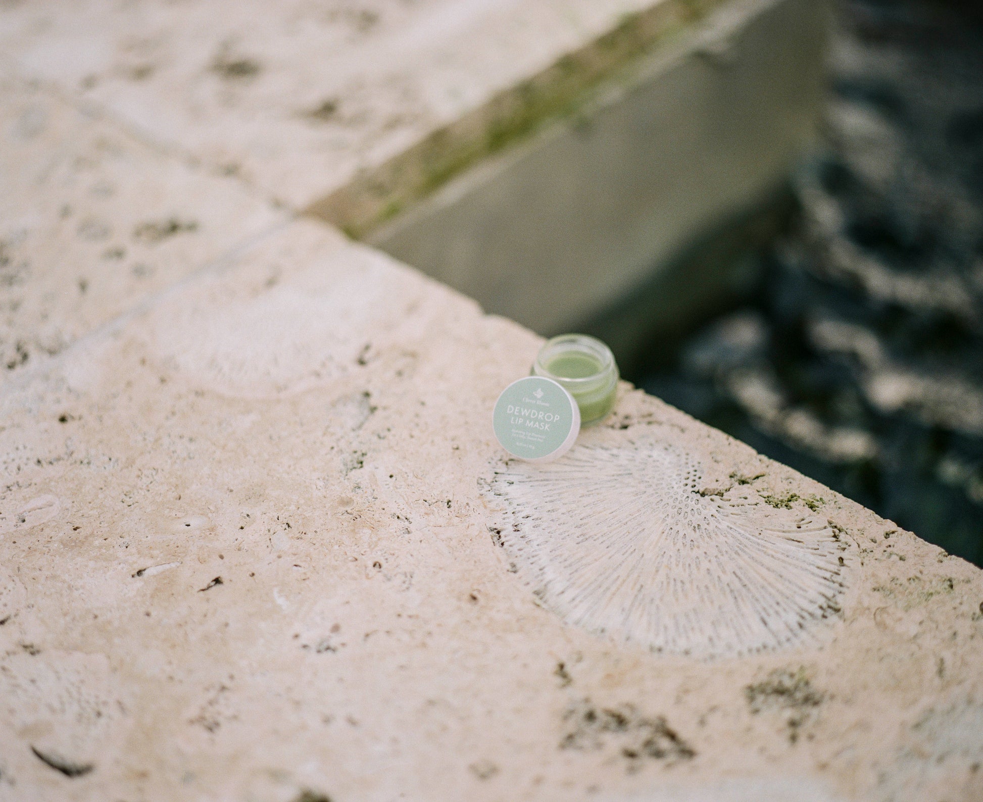Dew Drop Lip Mask